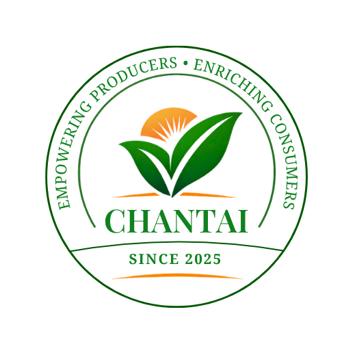 Chantai Logo